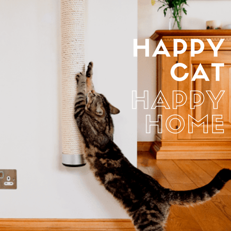 Happy cat, happy home.