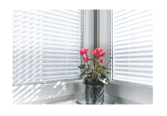 Customizing Your Window Blinds: Colors, Patterns, and Designs.